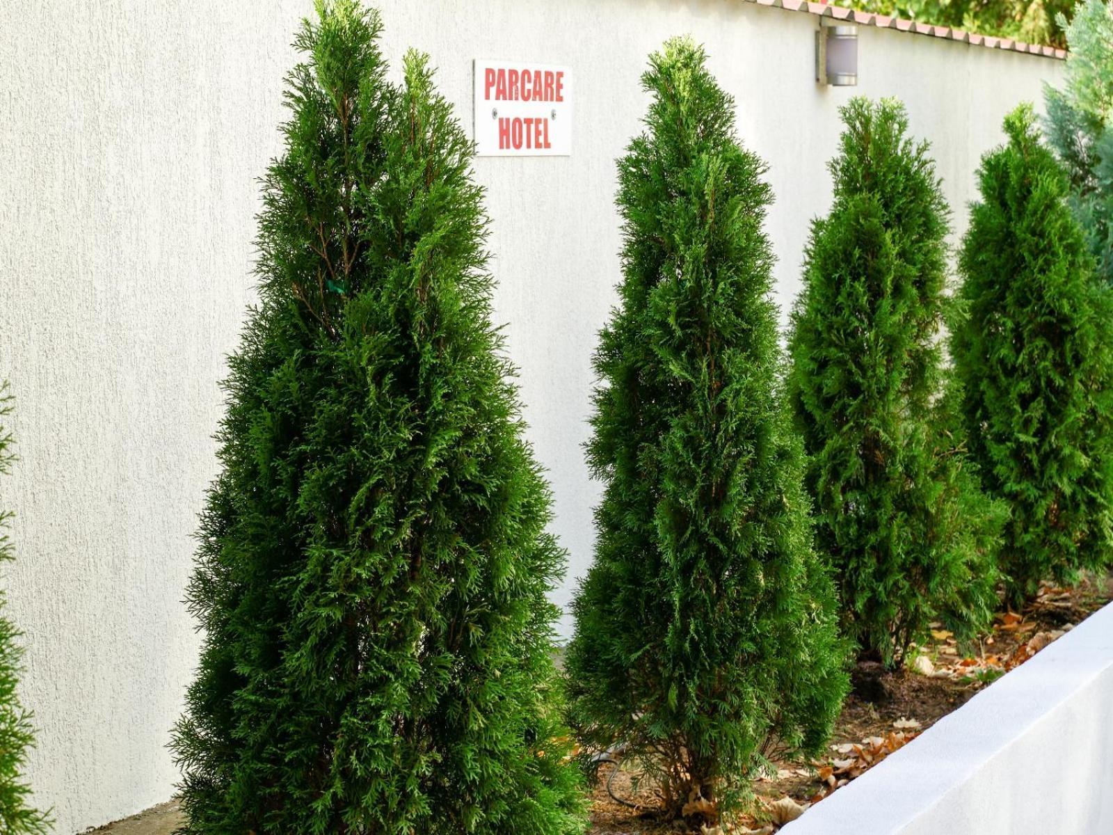 Hotel Criss Bukareszt Zewnętrze zdjęcie